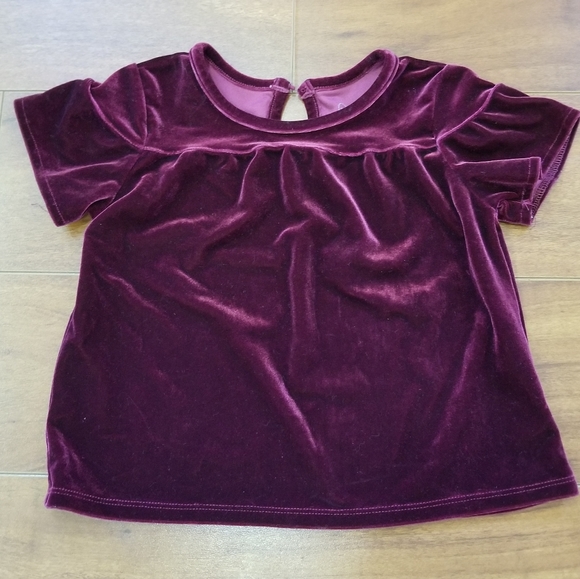 AG Adriano Goldshmied Little Girls Velvet Top 2T - Picture 2 of 8